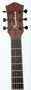 Pasadena SG01SZ GS Natural- Akustická kytara MiniJumbo, sklad: 1ks       -D05-