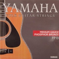 Yamaha FP13 struny,Phosph-Bronz-struny pro akustickou kytaru-sada, sklad: 1ks -D05- 