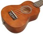 CASCHA EH 3953 Soprano Limew. Ukulele Set
Akustické ukulele (HN217239), sklad:1ks-D04-   