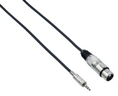 BESPECO EAMC300-Kabel XLR(F) a mini Jack 3,5mm(stereo)(HN133043) 3m, sklad:1ks -D04-   